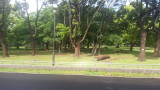 img0032.jpg