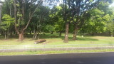 img0033.jpg
