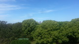 img0035.jpg