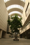 img0004.jpg