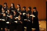 img0031.jpg