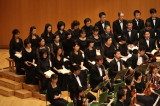img0061.jpg