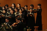 img0164.jpg