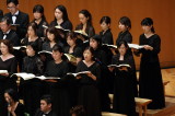 img0211.jpg