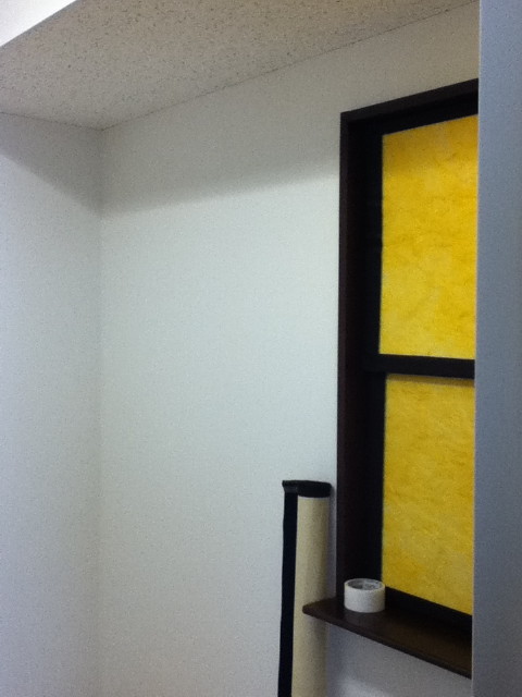 img0007.jpg